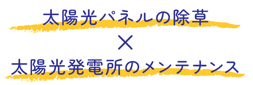 太陽光パネルの除草×太陽光発電所のメンテナンス